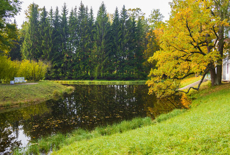 Autumn day in the park. Golden autumn. Trees and lake.