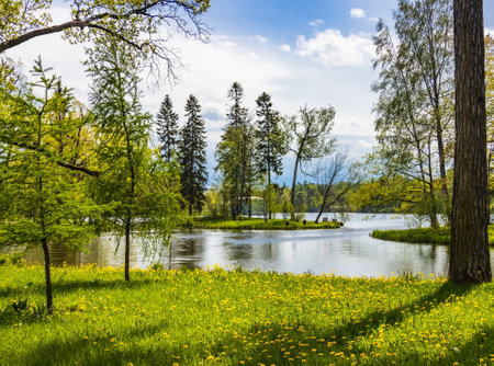 Parks of the Leningrad region. Gatchina. Spring.の写真素材