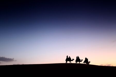 Desert sunsetの写真素材