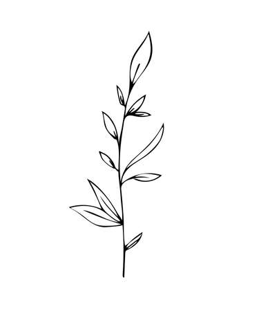 Botanical linear leaf set. Abstract minimalist leaves collection, creative herbal art. Hand drawn wedding herb, plant and monogram with elegant leaves for invitation save the date. Vector illustrationのイラスト素材