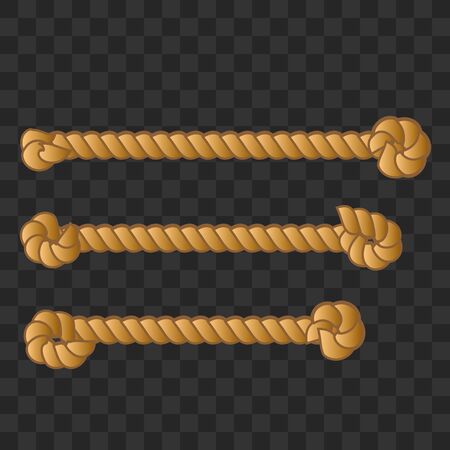 Belts, chain and braid for fabric design. Decoration for webのイラスト素材