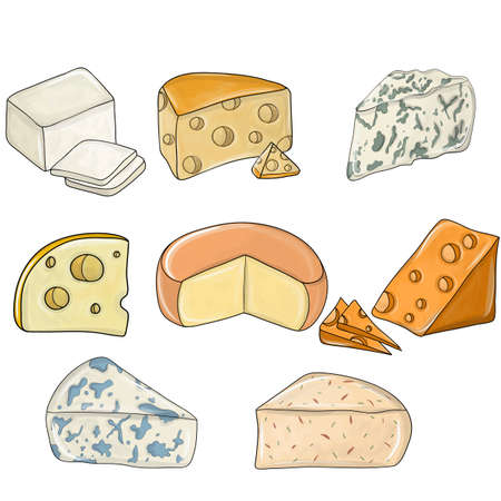 Cheese Set Detailed. Different types of cheese pieces, popular kind of cheese. Assortment of cheeses hard, soft, with mold, spices, from milk of cow, sheep or goat, holed, smoked, brined, pickledのイラスト素材