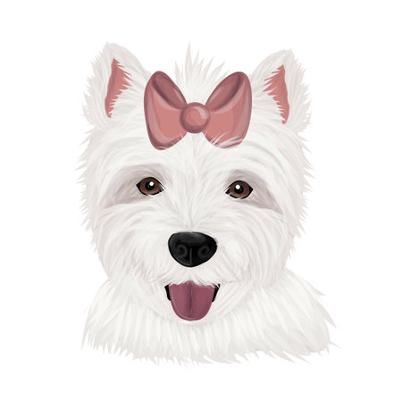 Dog breeds Highland White Terrier for t shirt. Vector dogのイラスト素材