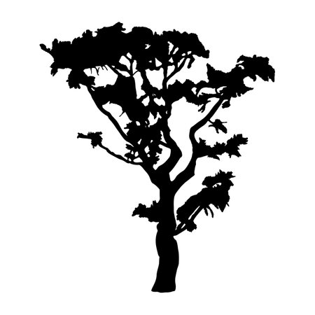 Tree silhouette icon isolated on white backgroundのイラスト素材