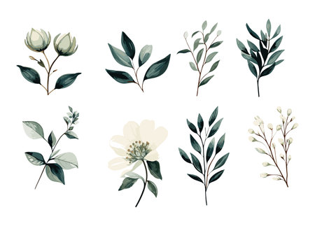 Hand drawn watercolor flower set. Herbs, wildflowers and spices. Branches, leaves, herbs, wild plants, flowers. Vector Illustration EPS10のイラスト素材