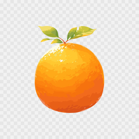Vector cartoon detailed fruit orange. Sweet fruit. Vector illustration EPS10のイラスト素材