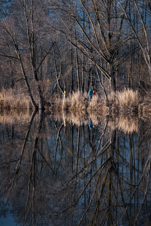 Trees are reflected in the water at a lake.