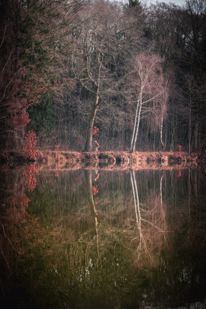 Trees are reflected in the water at a lake.の写真素材