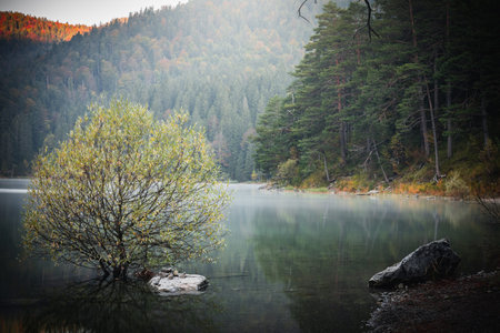 Photo Eibsee in the municipality of Grainau with the Wetterstein Mountains, forest and the Zugspitze...