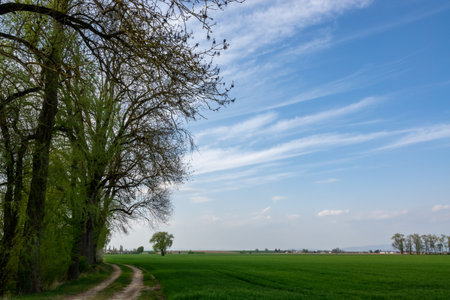 Cloud images with rain clouds and storm clouds in the landscapeの写真素材