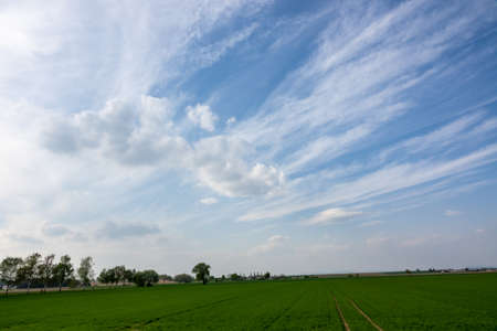 Cloud images with rain clouds and storm clouds in the landscapeの写真素材