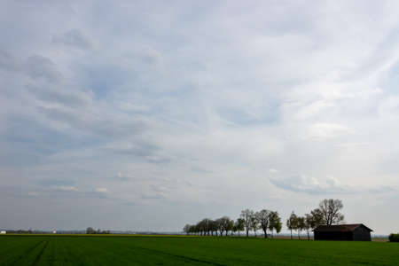 Cloud images with rain clouds and storm clouds in the landscapeの写真素材