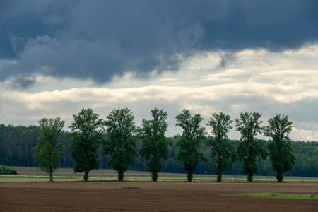 Cloud images with rain clouds and storm clouds in the landscapeの写真素材