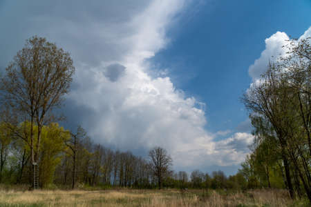 Cloud images with rain clouds and storm clouds in the landscapeの写真素材