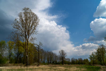 Cloud images with rain clouds and storm clouds in the landscapeの写真素材