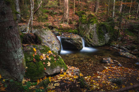 waterfall in the forest. Waterfall in the Bavarian Forest National Park Bavarian Forest.の写真素材