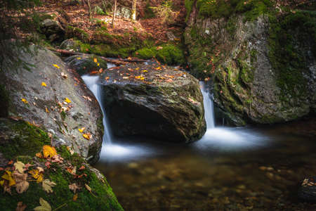 waterfall in the forest. Waterfall in the Bavarian Forest National Park Bavarian Forest.の写真素材