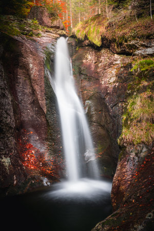 waterfall in the forest. Waterfall in the Bavarian Forest National Park Bavarian Forest.