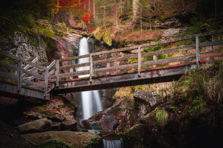 waterfall in the forest. Waterfall in the Bavarian Forest National Park Bavarian Forest.
