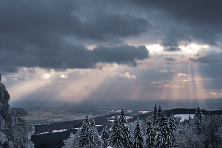 Beautiful winter landscape with snow covered trees in fog. Harsh winter landscape, beautiful snow-covered fir trees stand against a foggy mountain landscape on a cold winter day. The concept of the cold northern nature.の写真素材