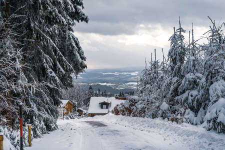 Beautiful winter landscape with snow covered trees in fog. Harsh winter landscape, beautiful snow-covered fir trees stand against a foggy mountain landscape on a cold winter day. The concept of the cold northern nature.の写真素材