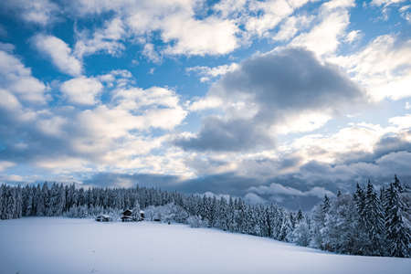 Beautiful winter landscape with snow covered trees in fog. Harsh winter landscape, beautiful snow-covered fir trees stand against a foggy mountain landscape on a cold winter day. The concept of the cold northern nature.の写真素材