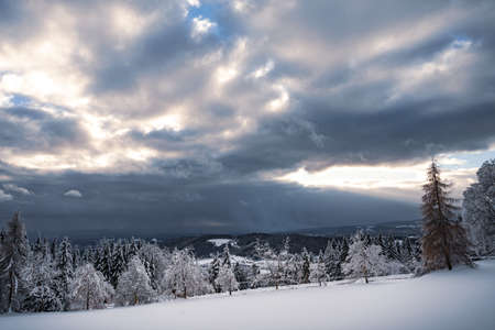 Beautiful winter landscape with snow covered trees in fog. Harsh winter landscape, beautiful snow-covered fir trees stand against a foggy mountain landscape on a cold winter day. The concept of the cold northern nature.の写真素材