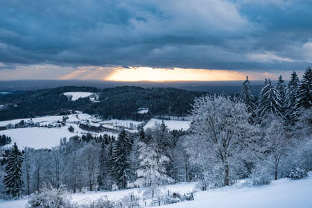 Beautiful winter landscape with snow covered trees in fog. Harsh winter landscape, beautiful snow-covered fir trees stand against a foggy mountain landscape on a cold winter day. The concept of the cold northern nature.の写真素材