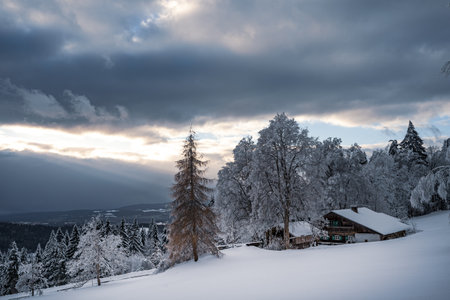 Beautiful winter landscape with snow covered trees in fog. Harsh winter landscape, beautiful snow-covered fir trees stand against a foggy mountain landscape on a cold winter day. The concept of the cold northern nature.の写真素材