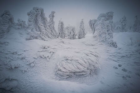 Dreisesselberg in winter with snow on the border of Germany and the Czech Republic, Bavarian Forest - Sumava National Park, Germany - Czech Republic. High quality photoの写真素材