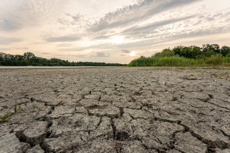 Dry lake in Bavaria Germany. Drought and climate change, landscape of cracked earth after lake has dried up in summer. Water crisis an impact of global warming.の写真素材