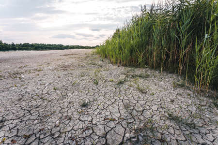 Drying up lake in Bavaria Germany from extreme weather and summer heatwave, climate change and droughtの写真素材