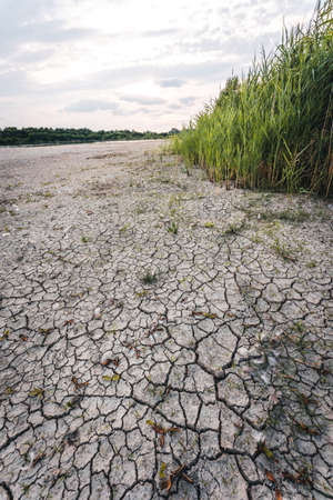 Drying up lake in Bavaria Germany from extreme weather and summer heatwave, climate change and droughtの写真素材