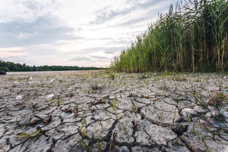 Dry lake in Bavaria Germany. Drought and climate change, landscape of cracked earth after lake has dried up in summer. Water crisis an impact of global warming.の写真素材