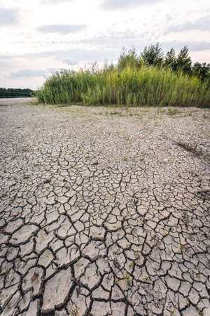 Dry lake in Bavaria Germany. Drought and climate change, landscape of cracked earth after lake has dried up in summer. Water crisis an impact of global warming.の写真素材