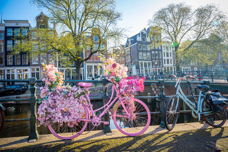Bicycles with flowers in Amsterdam, Netherlandsの写真素材