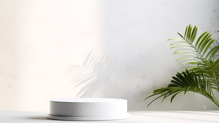 3d render of minimal product display podium with tropical palm leaves.の素材