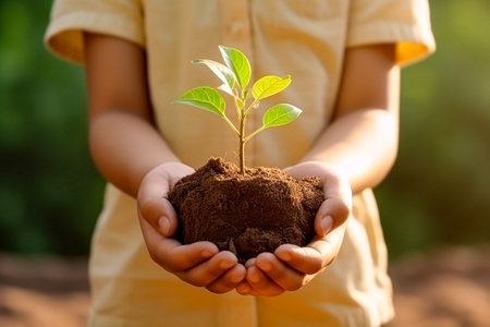 Hands holding young green plant in soil. Earth day concept.の素材