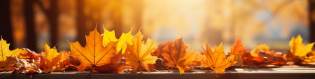 Autumn maple leaves on a wooden table in the park. Selective focus.の素材