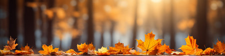 Autumn background with yellow maple leaves on the wooden table in the parkの素材