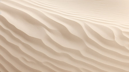 White sand dune texture. Top view. Abstract background for design.の素材
