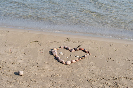 Heart from shells on the sand at the seashore in summerの写真素材