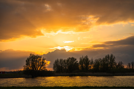 sunset over a lake with willow trees in the foreground, Hollandの写真素材