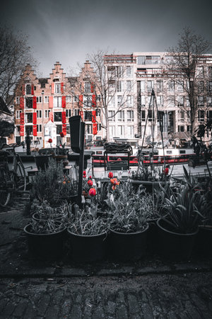 Amsterdam is the capital and most populous city of the Netherlandsの写真素材