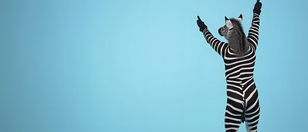 Funny zebra with raised hands on blue background. 3D renderingの素材