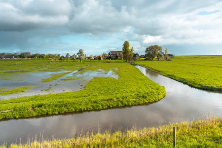 Typical Dutch rural landscape with fields and meadows in springtimeの写真素材