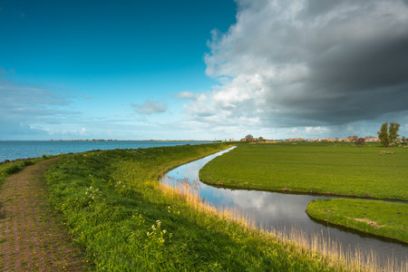 Panoramic view of dike along the shore of a lake in springの写真素材
