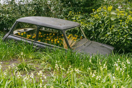 Old car in the garden with flowers on the roof. Springtimeの写真素材