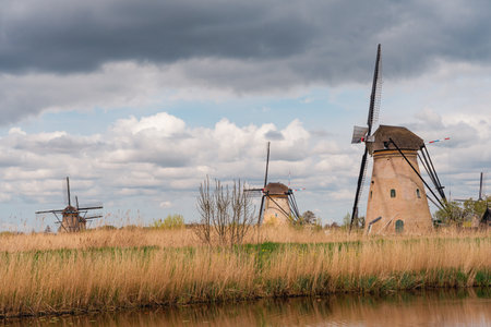 Historic windmills in Kinderdijk, Netherlands. Kinderdijk is one of the most popular tourist sites in the Netherlands.の写真素材