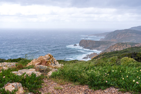 View of the Atlantic Ocean from the Cape of Good Hope, South Africaの写真素材